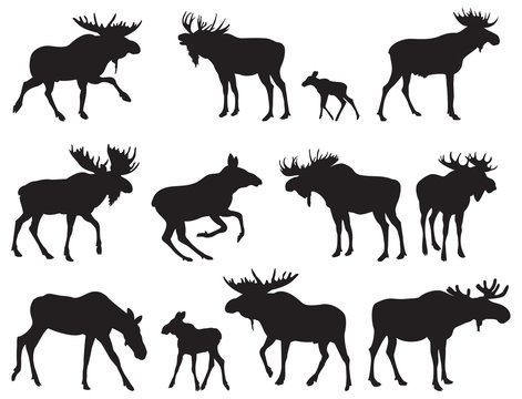 Detail Vector Moose Silhouette Nomer 41