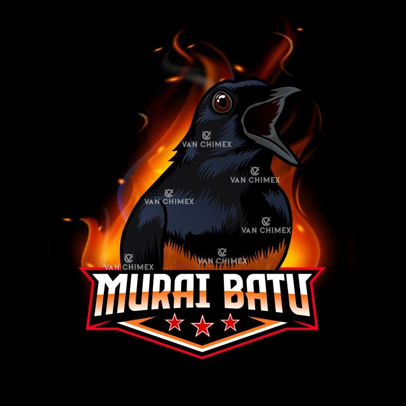 Detail Vector Murai Nomer 23