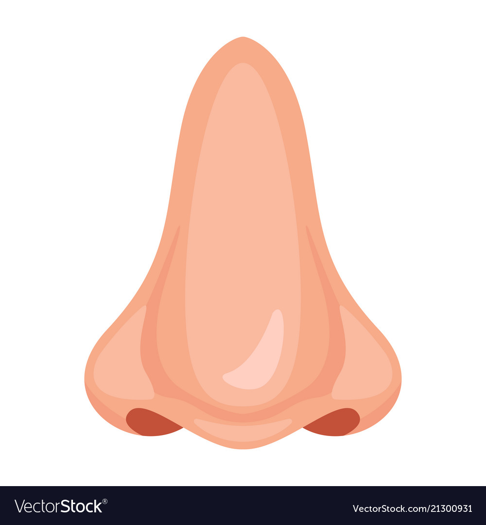 Detail Vector Nose Nomer 2