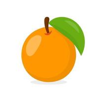 Vector Orange - KibrisPDR