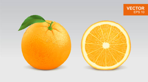 Detail Vector Orange Nomer 37