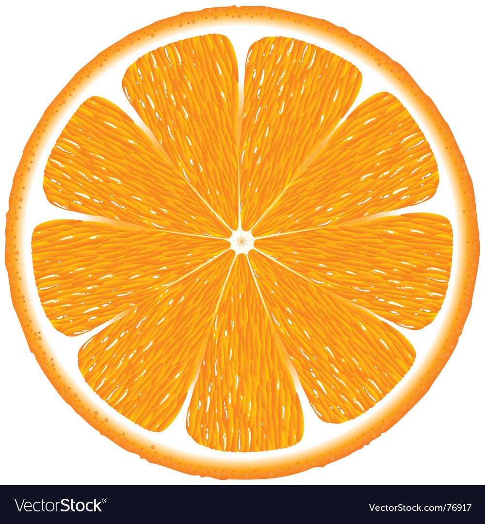 Detail Vector Orange Nomer 5