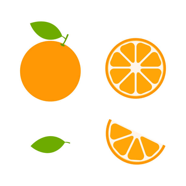 Detail Vector Orange Nomer 8