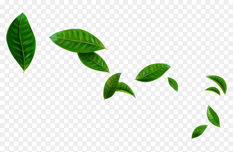 Detail Vector Png Nomer 48