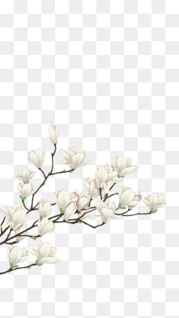 Detail Vector Png Flower Nomer 56