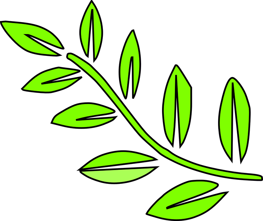 Detail Vector Ranting Nomer 28