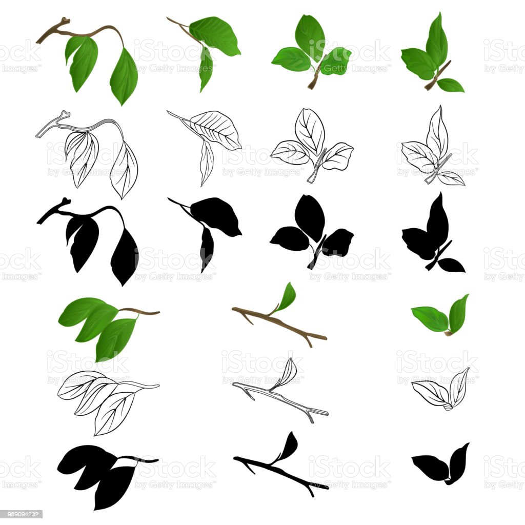 Detail Vector Ranting Nomer 51