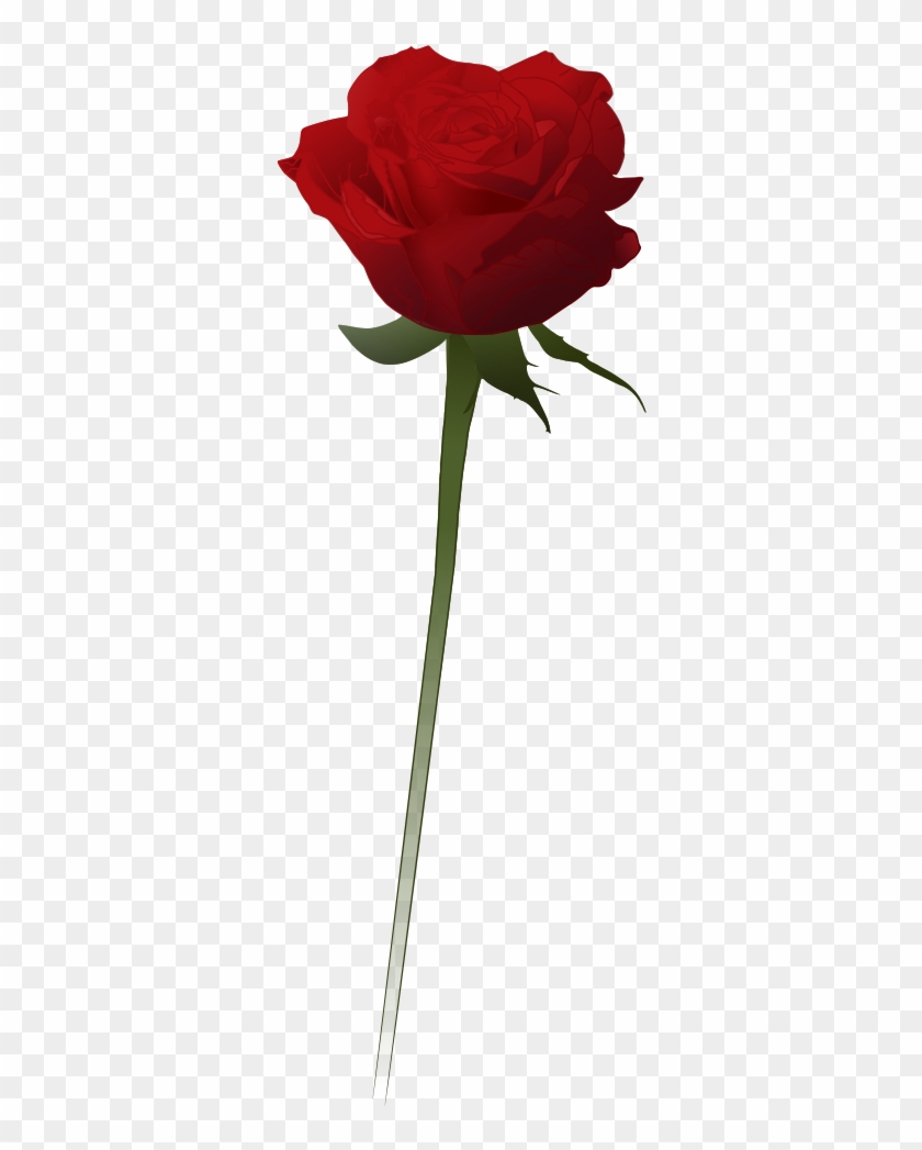 Vector Rose Png - KibrisPDR