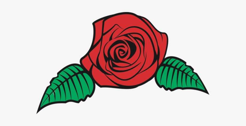 Detail Vector Rose Png Nomer 22