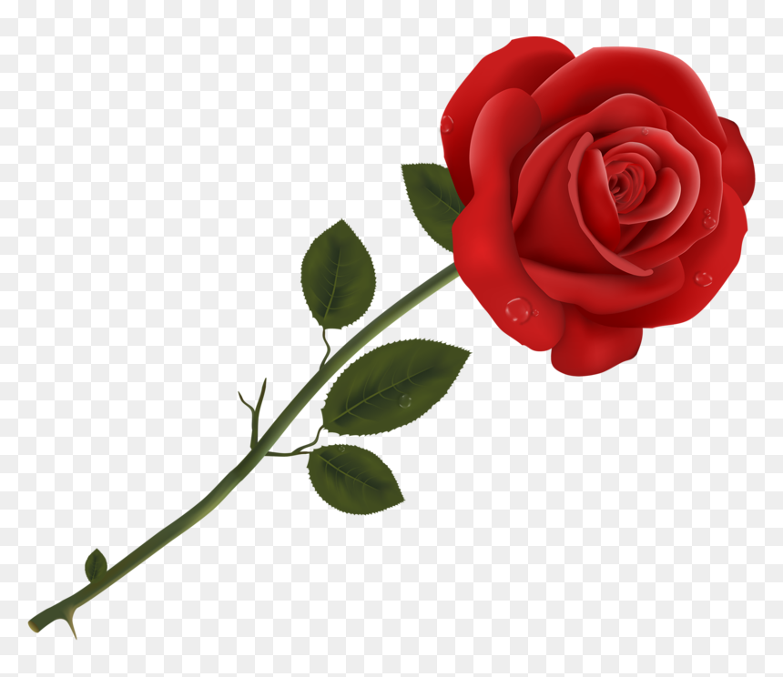 Detail Vector Rose Png Nomer 7