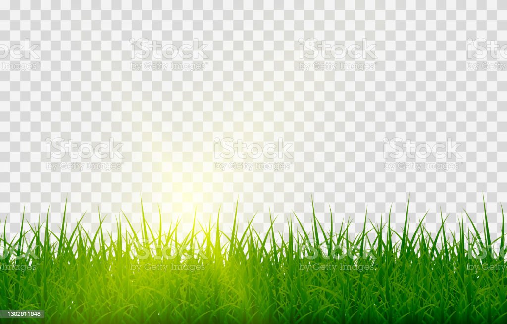Detail Vector Rumput Png Nomer 8