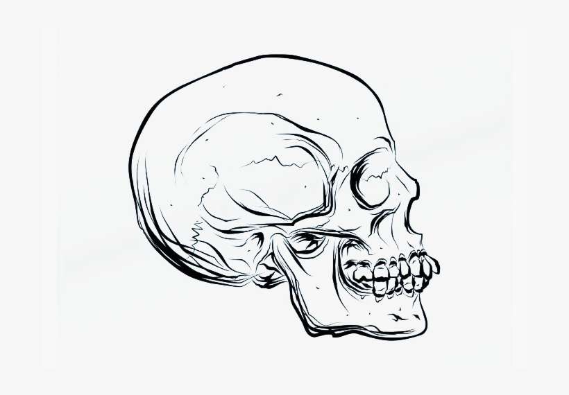 Detail Vector Skull Png Nomer 15