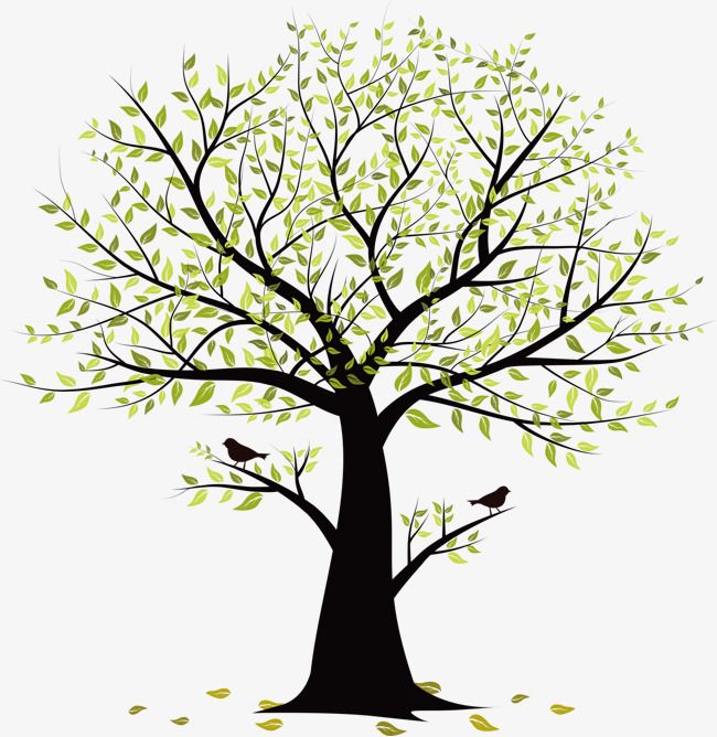 Detail Vector Tree Png Nomer 9