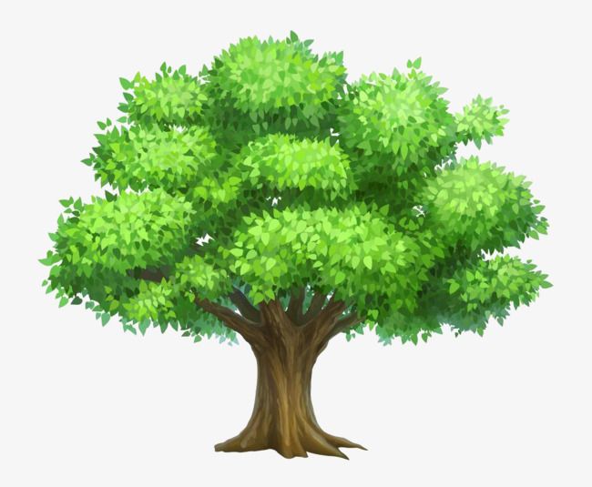 Detail Vector Tree Png Nomer 10