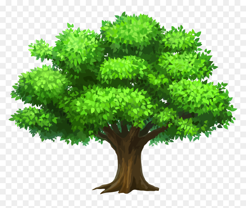 Detail Vector Tree Png Nomer 11