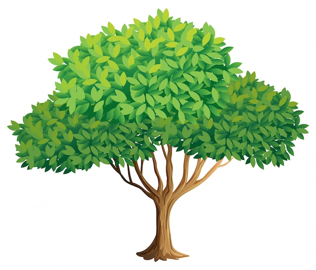 Detail Vector Tree Png Nomer 3