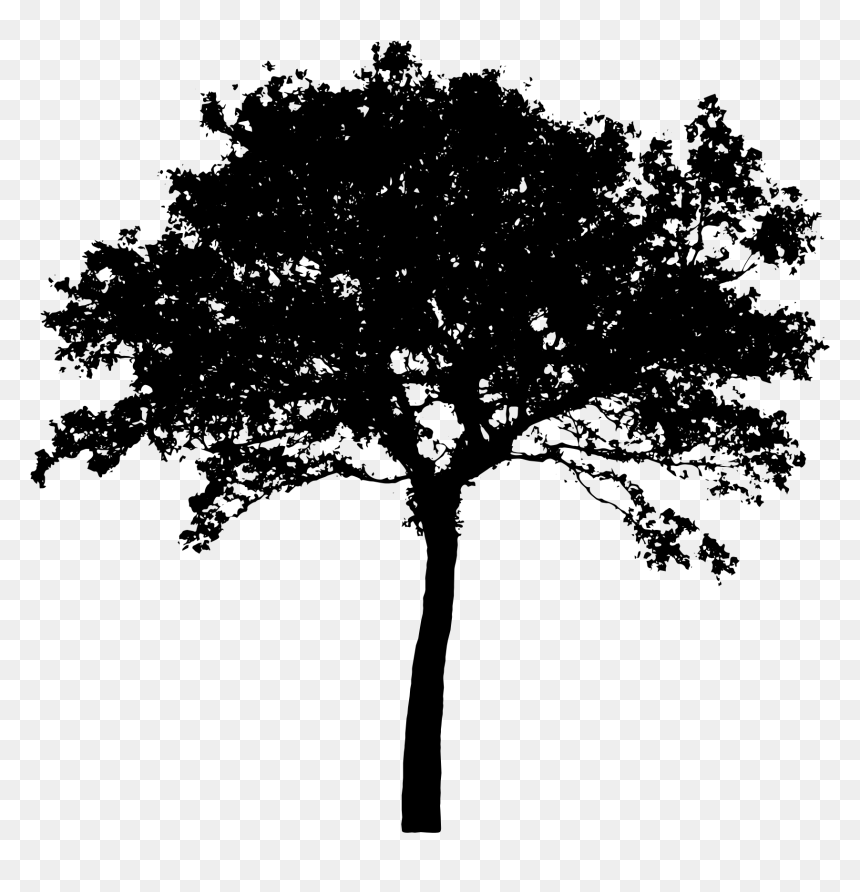 Detail Vector Tree Png Nomer 27