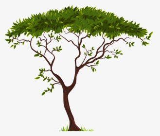 Detail Vector Tree Png Nomer 39