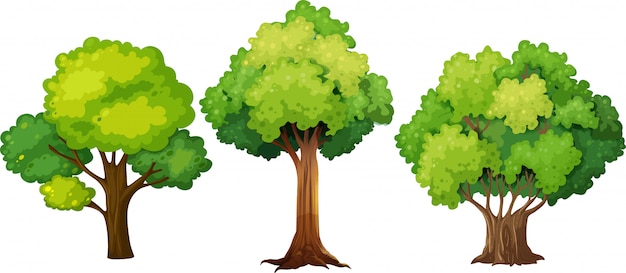 Detail Vector Tree Png Nomer 40