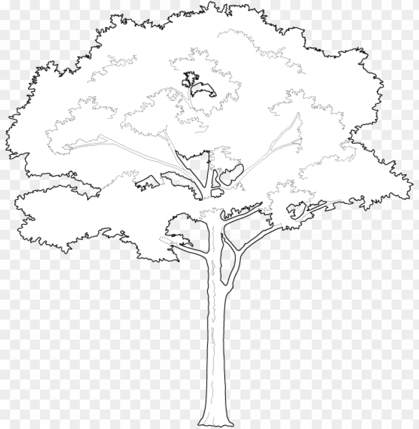 Detail Vector Tree Png Nomer 43