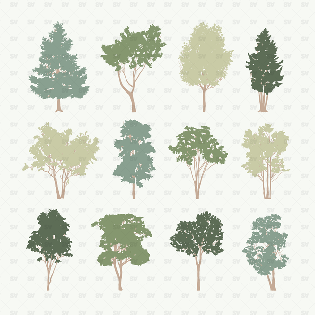 Detail Vector Tree Png Nomer 46