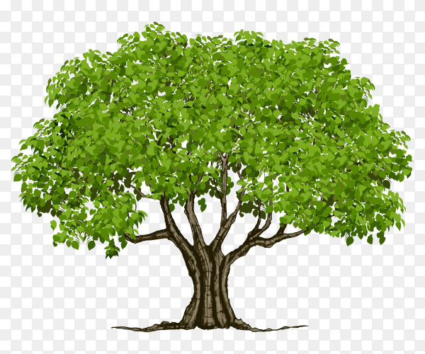 Detail Vector Tree Png Nomer 6