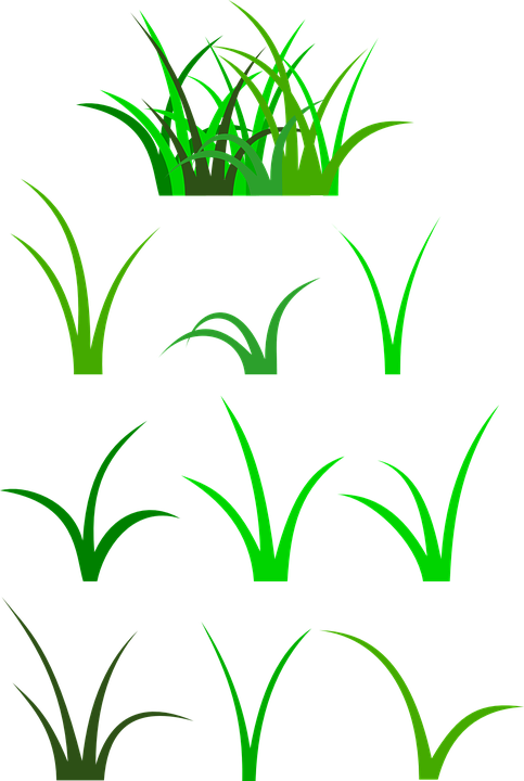 Detail Vector Tumbuhan Nomer 24