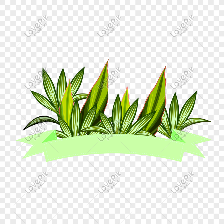 Detail Vector Tumbuhan Nomer 4