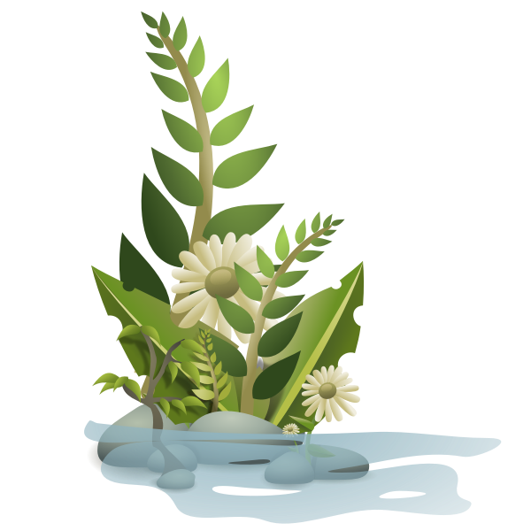 Detail Vector Tumbuhan Nomer 10
