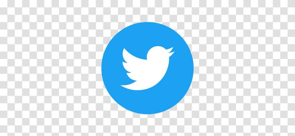 Detail Vector Twitter Logo Nomer 34