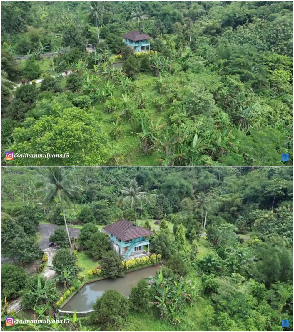 Detail Rumah Di Tengah Hutan Nomer 17