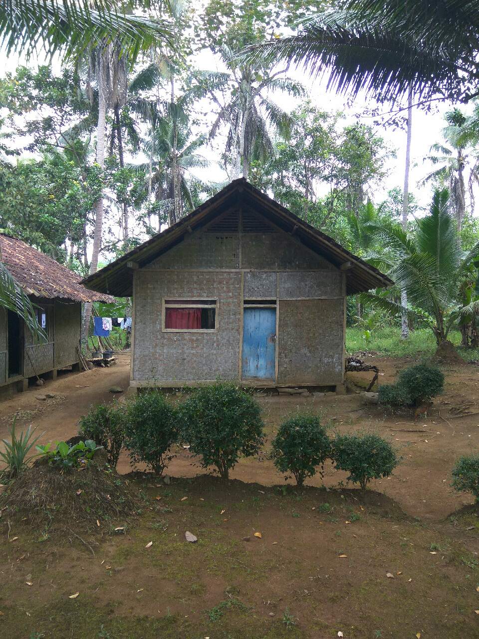 Detail Rumah Di Tengah Hutan Nomer 22