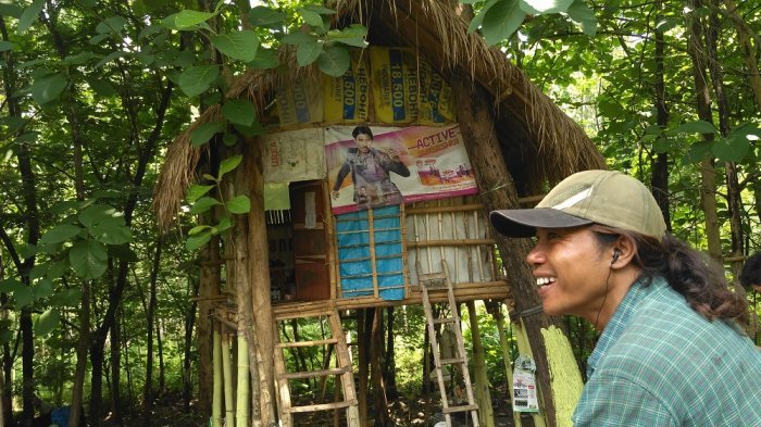 Detail Rumah Di Tengah Hutan Nomer 4