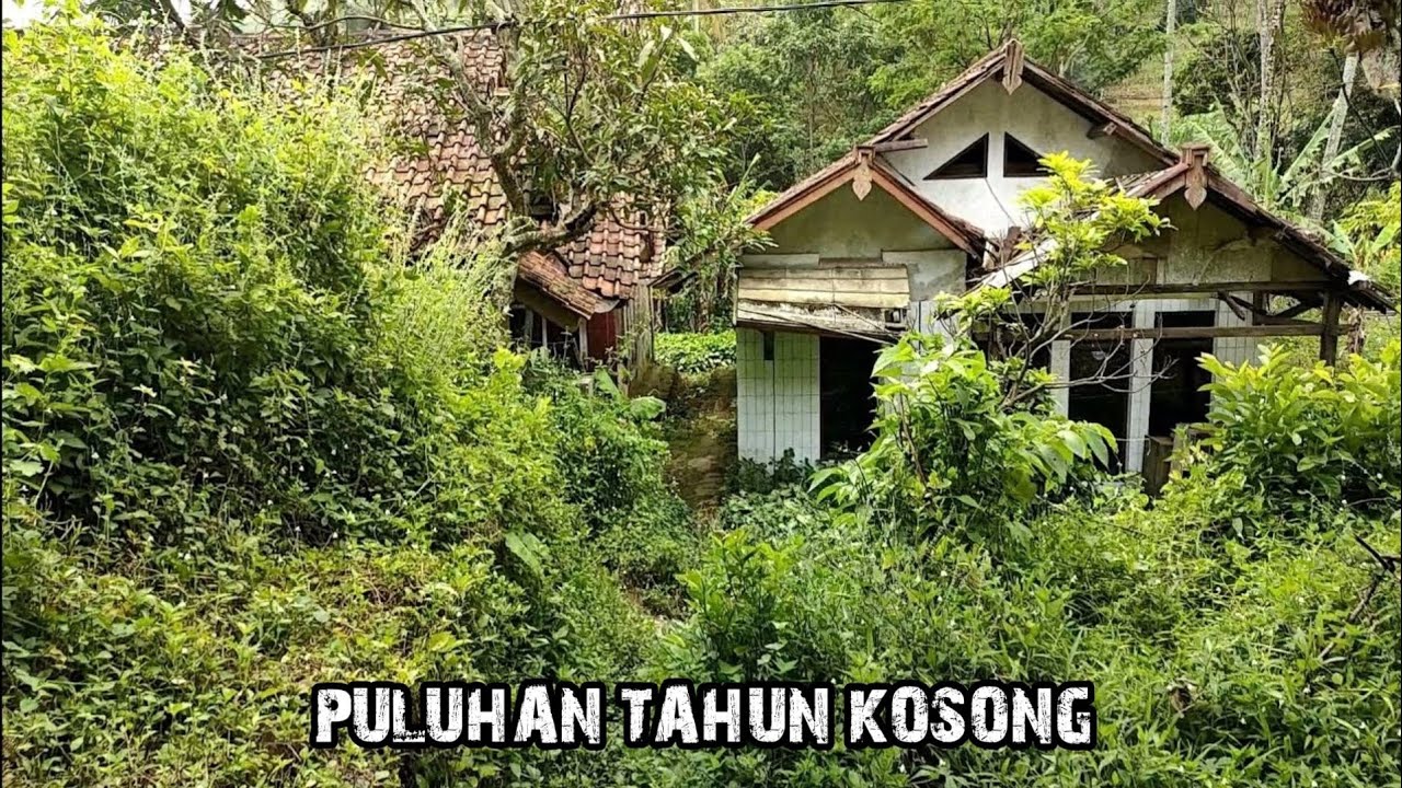 Detail Rumah Di Tengah Hutan Nomer 34