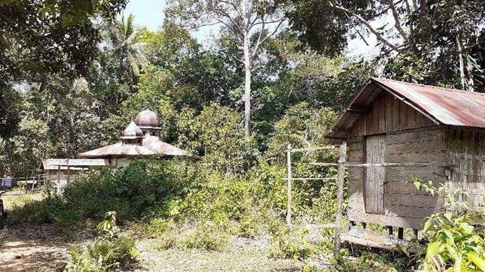 Detail Rumah Di Tengah Hutan Nomer 35