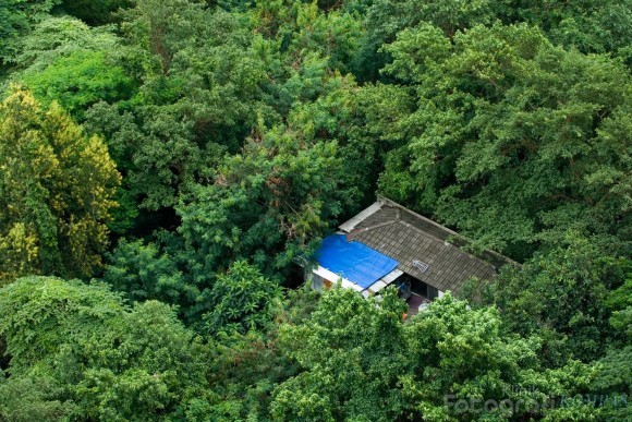 Detail Rumah Di Tengah Hutan Belantara Nomer 12