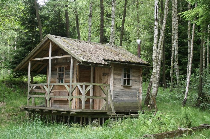 Detail Rumah Di Tengah Hutan Belantara Nomer 6