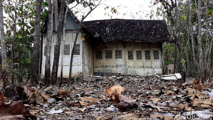 Detail Rumah Di Tengah Kebun Nomer 28