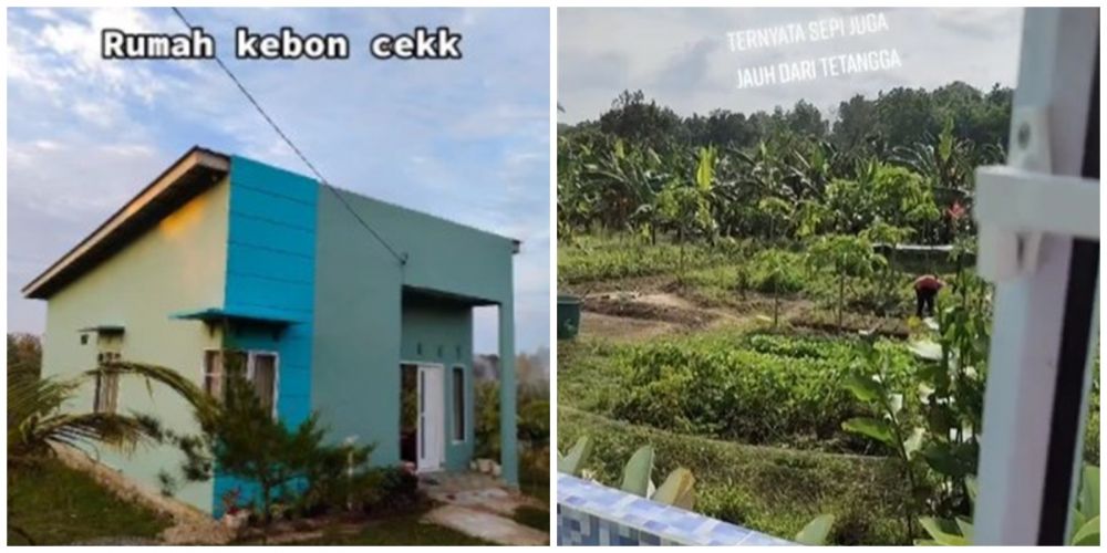 Detail Rumah Di Tengah Kebun Nomer 34