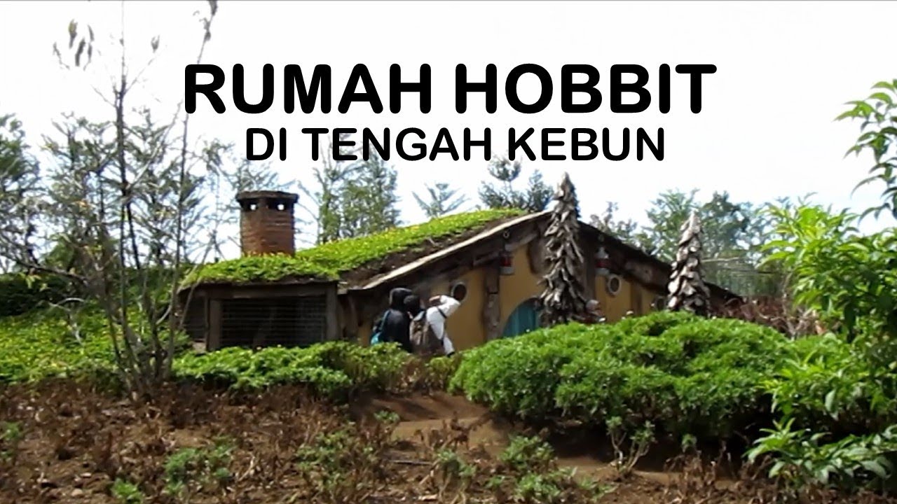 Detail Rumah Di Tengah Kebun Nomer 35