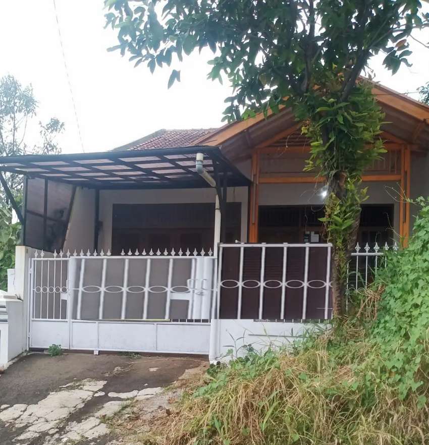 Detail Rumah Di Tengah Kebun Nomer 56