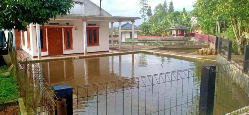 Detail Rumah Diatas Kolam Nomer 29