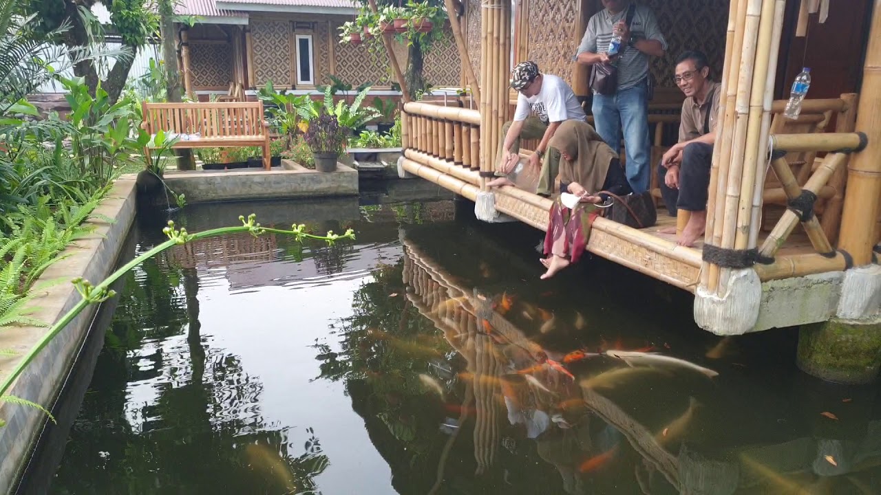 Detail Rumah Diatas Kolam Ikan Nomer 3