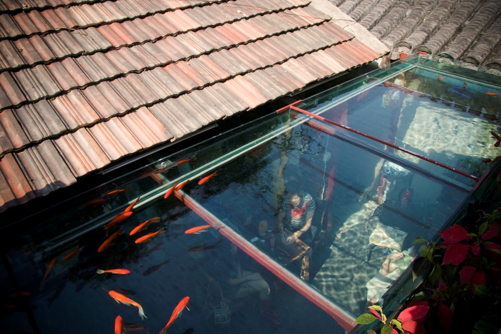 Detail Rumah Diatas Kolam Ikan Nomer 42