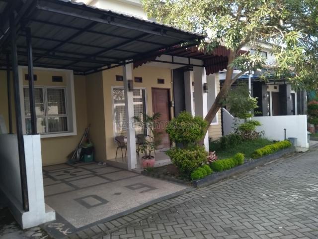 Rumah Disewakan Di Pekanbaru - KibrisPDR