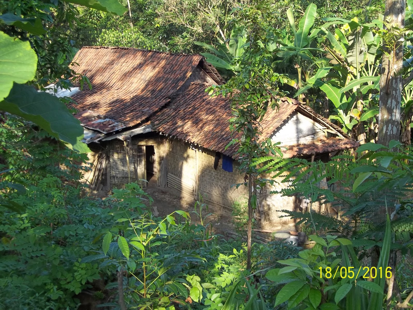 Detail Rumah Ditengah Hutan Nomer 4