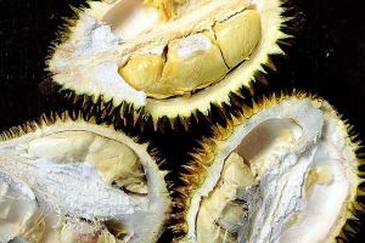 Detail Rumah Durian Cemara Di Surabaya Nomer 37