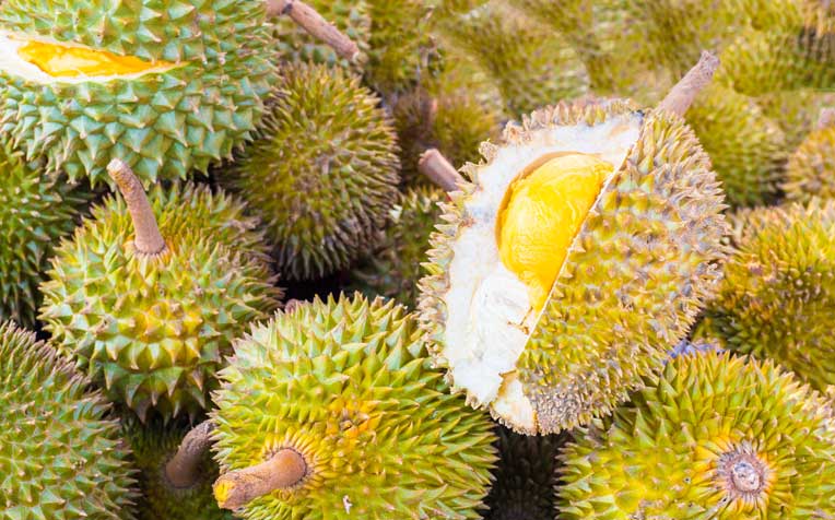 Detail Rumah Durian Di Tangerang Nomer 33