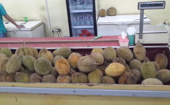 Rumah Durian Harum - KibrisPDR