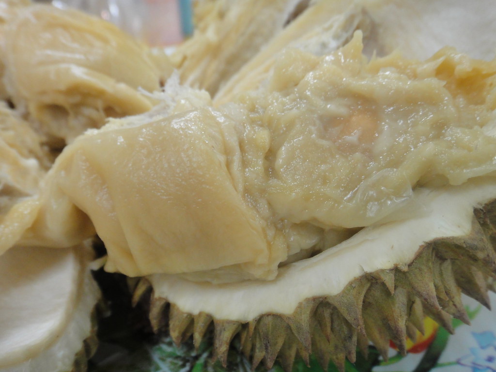 Detail Rumah Durian Harum Nomer 15